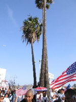 IMG_5922.JPG